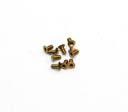 RX28A-72 Reflex Racing Titanium M2x4 CS Screws (10pcs)